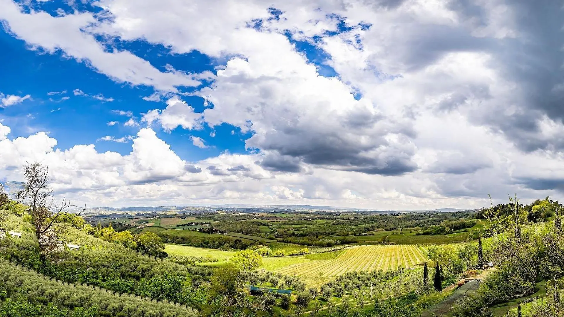 Agriturismo Cesani San Gimignano 0*,