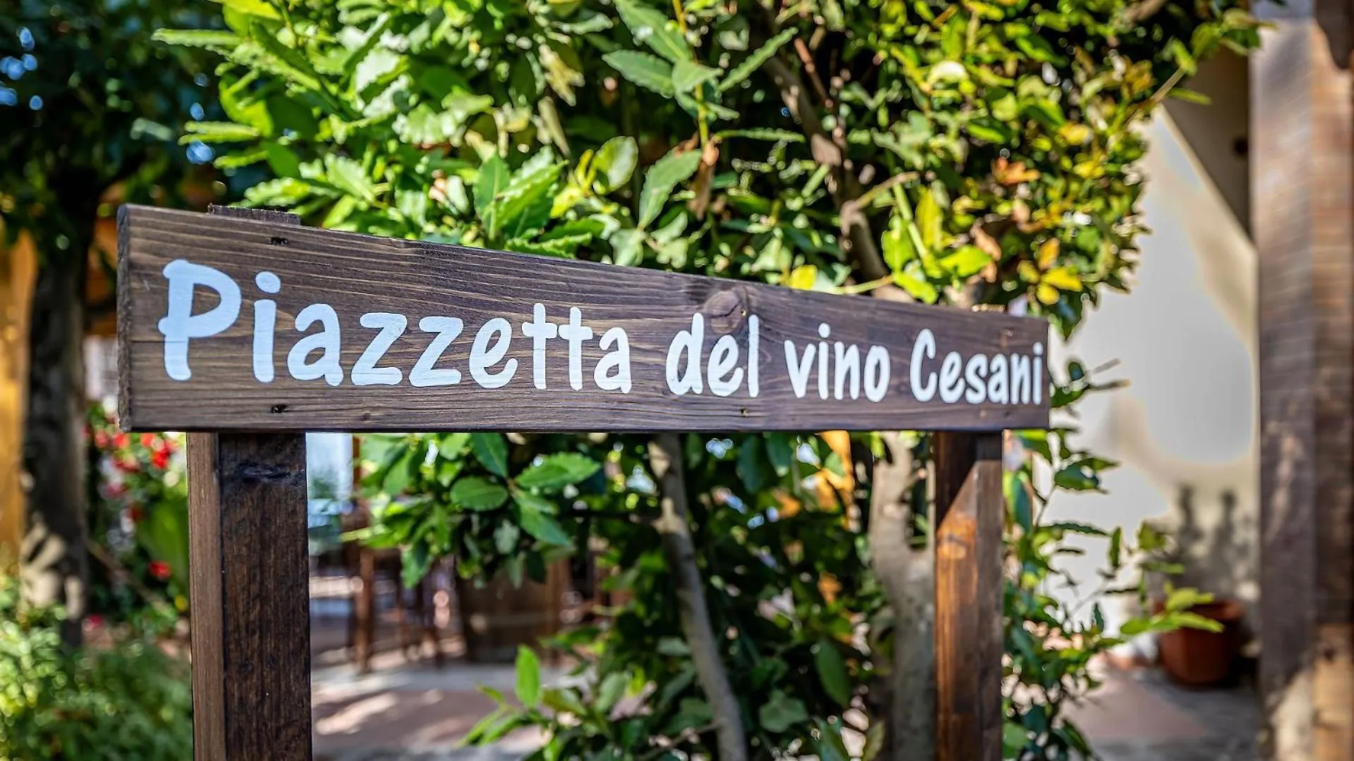 Agriturismo Cesani San Gimignano